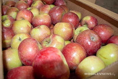 Стабфонд овощей и фруктов в Могилевской области способен обеспечить потребности населения до лета