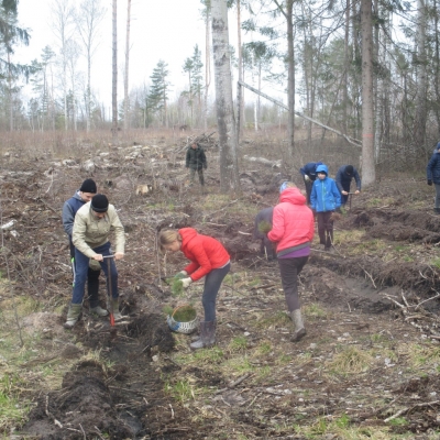 Жители Хотимщины принимают участие в акции «неделя леса»