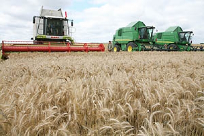 Готовность комбайнового парка к уборке зерновых в Могилевской области составляет 90%