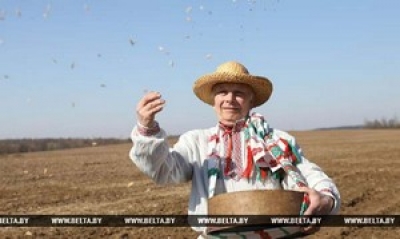 Сев основных культур в Могилевской области планируется завершить к 1 мая