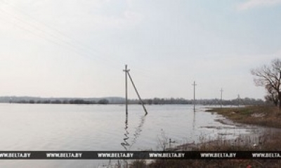 В Могилевской области уровень воды в Друти и Проне впервые за 5 лет превысил опасные отметки