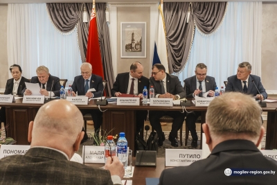Вопросы межрегионального и приграничного сотрудничества, синхронизации развития энергосистем Беларуси и России обсудили в Могилеве