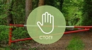 В Хотимском районе действуют ограничения на посещение лесов