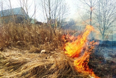 С начала года в Могилевской области произошло более 130 пожаров сухой растительности. В таких пожарах пострадал один человек