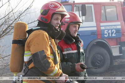 С начала года в Беларуси произошло 563 пожара в экосистемах на 56 га