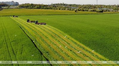 В Беларуси завершается первый укос трав