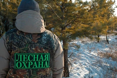 Усиленный режим охраны лесов вводится в Могилевской области с 19 декабря