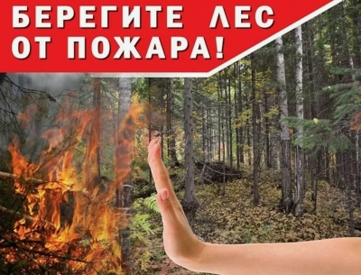 Берегите лес от пожара!