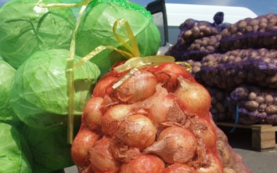 Бартош: до 75% овощей, картофеля, фруктов и ягод в Беларуси выращиваются на приусадебных участках населения