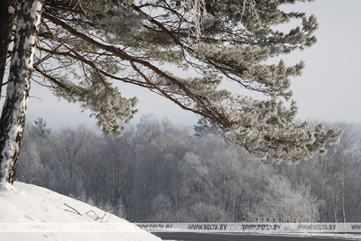 Сильный снег и метель ожидаются в Беларуси 11 февраля